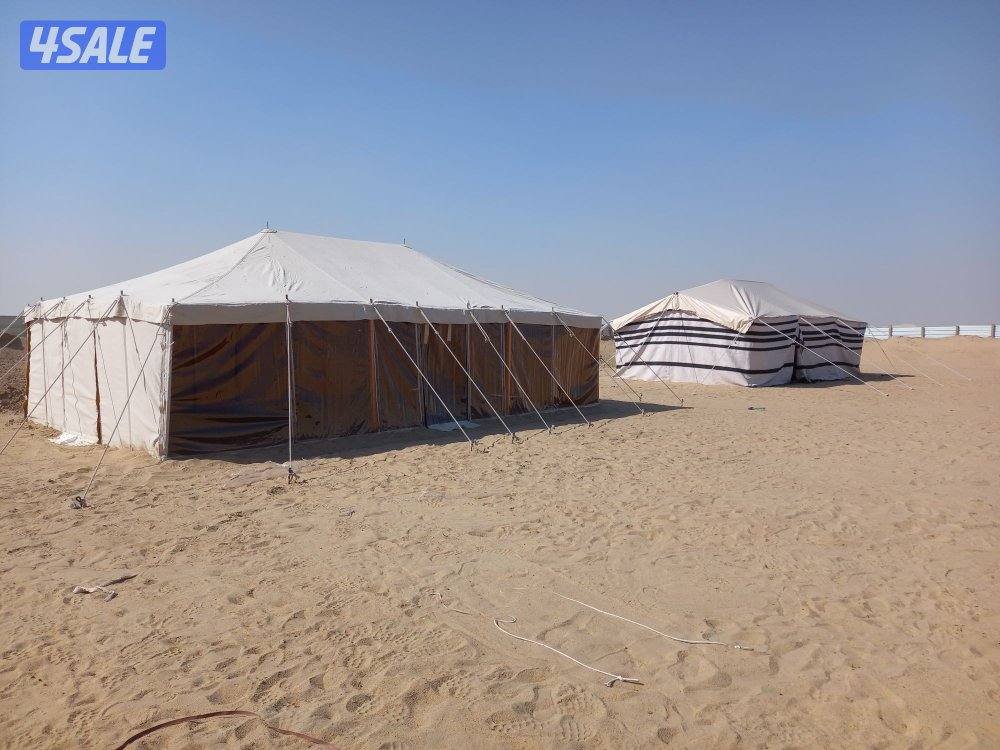 فنى تركيب خيام وبيوت شعر2