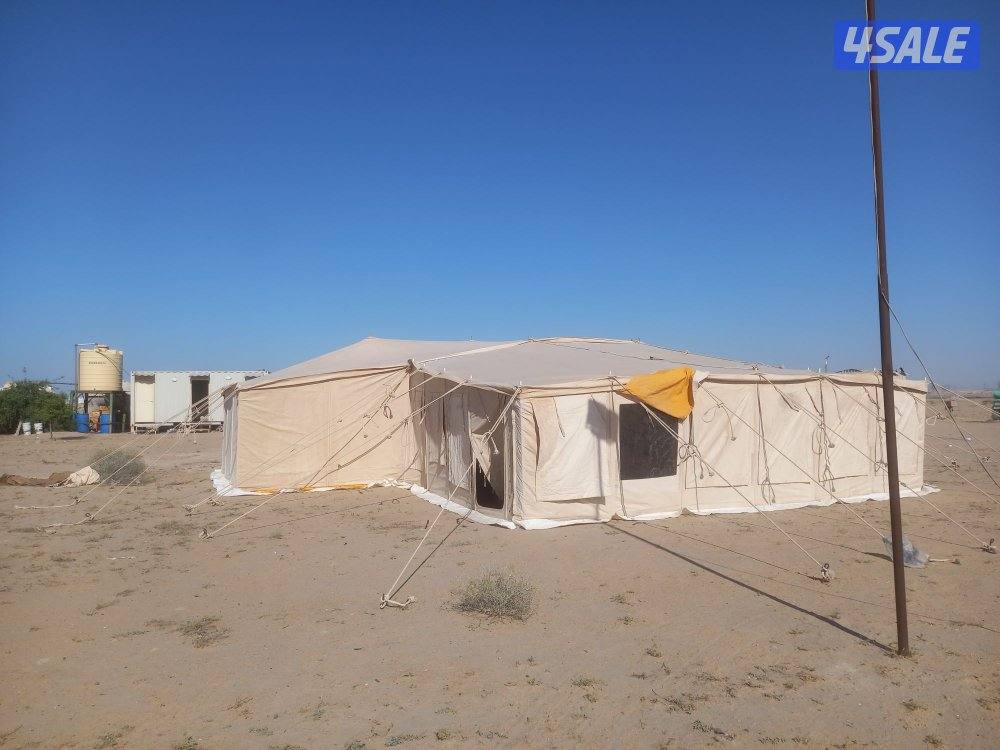 فنى تركيب خيام وبيوت شعر6