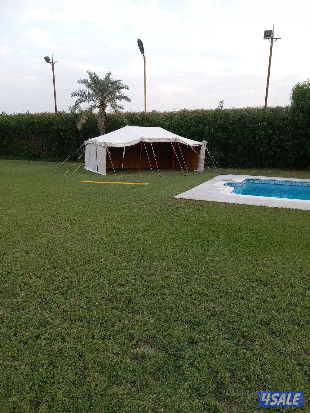 فنى تركيب خيام وبيوت شعر12