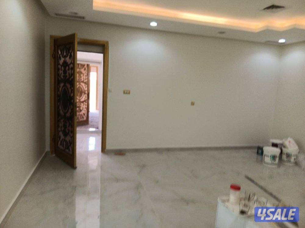 ترميمات عامه واصباغ4