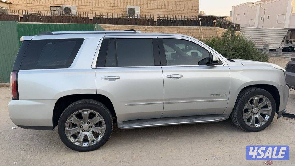 يوكن دينالي3