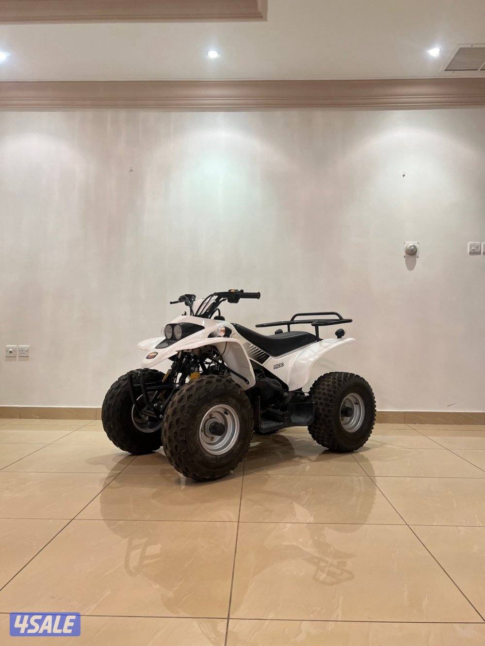 للبيع بقي ستينغر 100 cc0