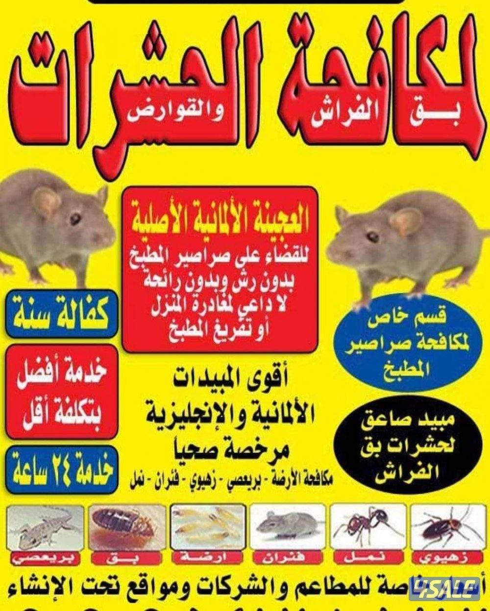 رش مبيدات للنمل والصراصير بدون رائحه كفاله سنه0