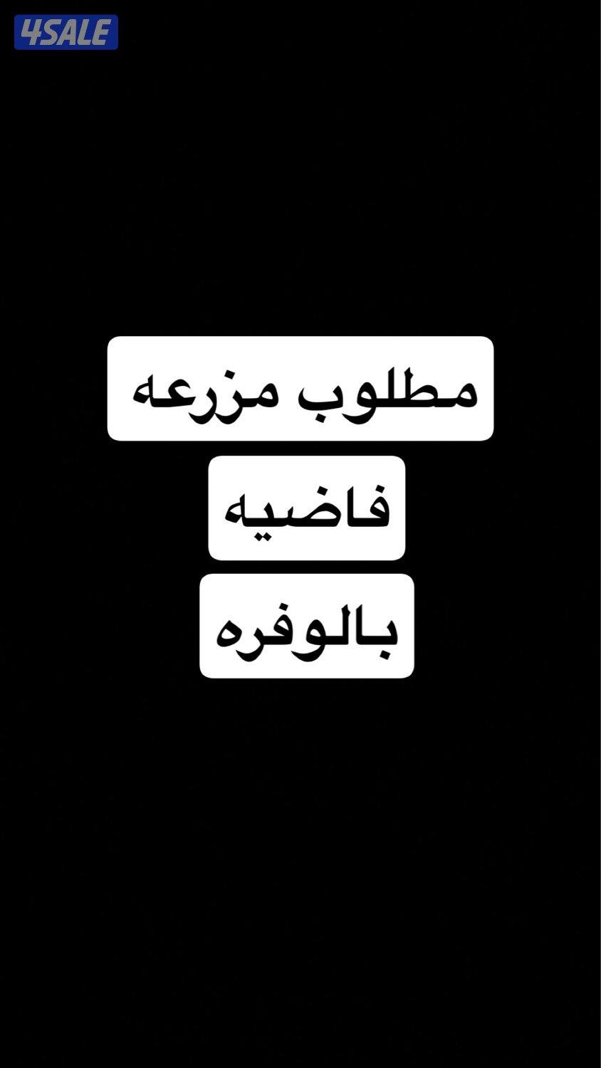 مطلوب مزرعه فاضيه بالوفره0