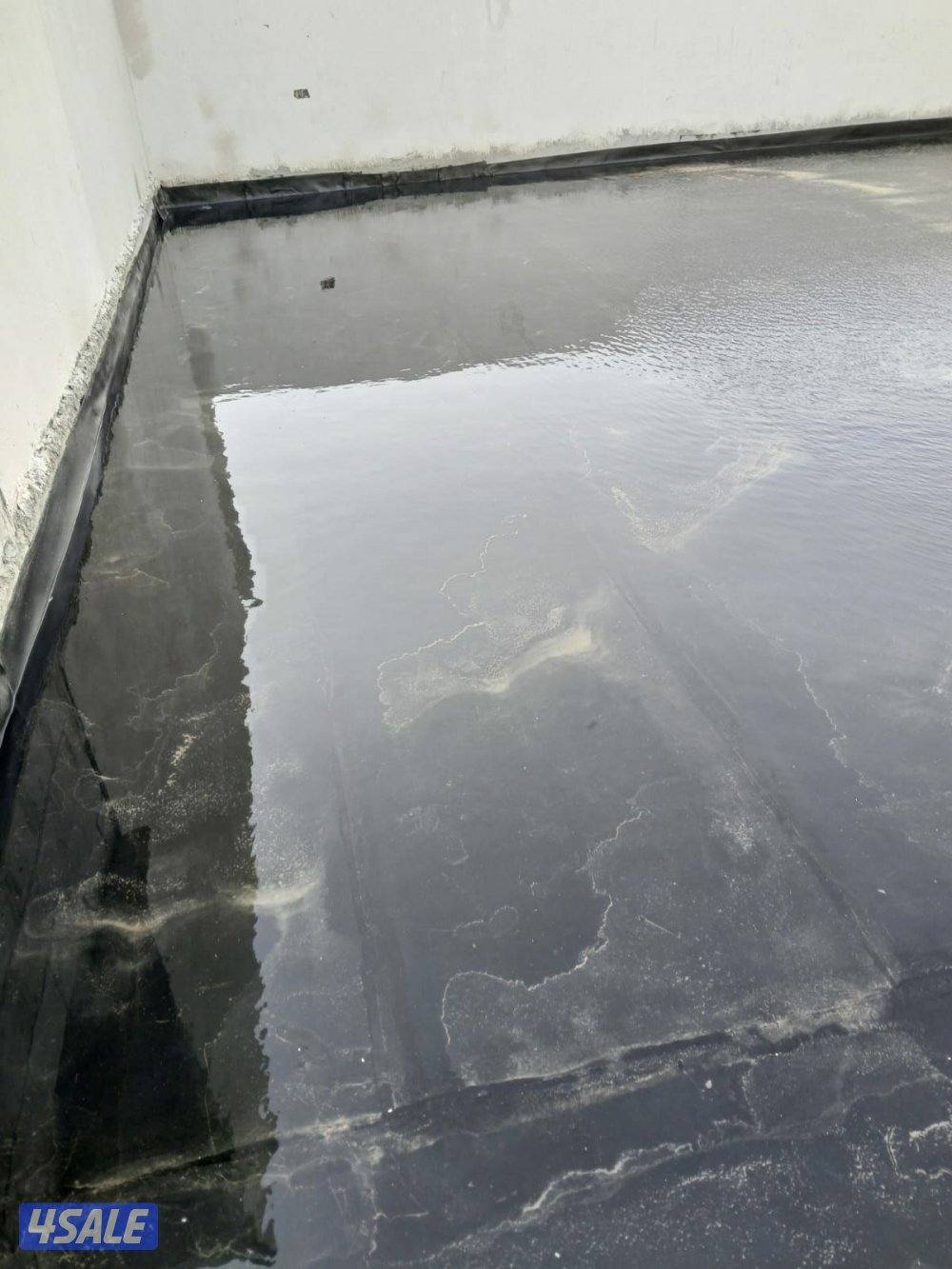 جميع منطقة الكويت1