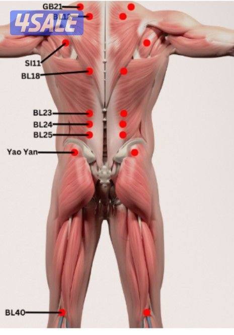 مساج علاجي     مساج رياضي.0