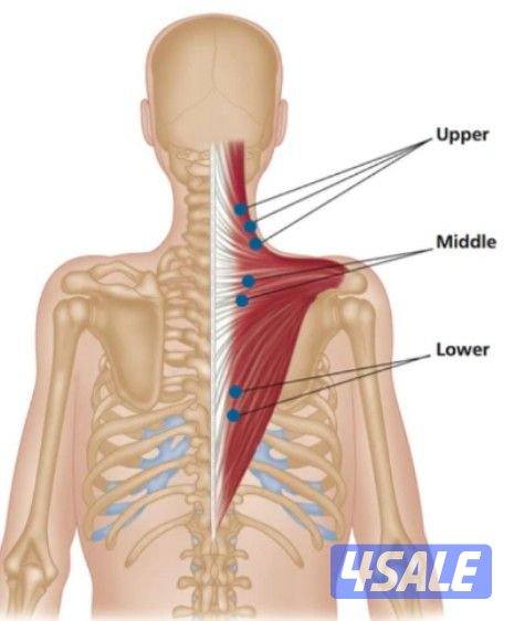 مساج علاجي     مساج رياضي.2