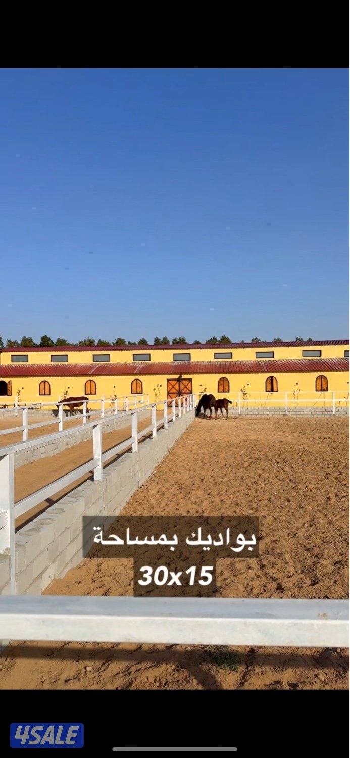 🐎⭐️ مربط ايواء خيل VVIP ⭐️🐎4