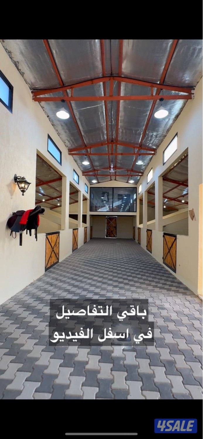 🐎⭐️ مربط ايواء خيل VVIP ⭐️🐎5