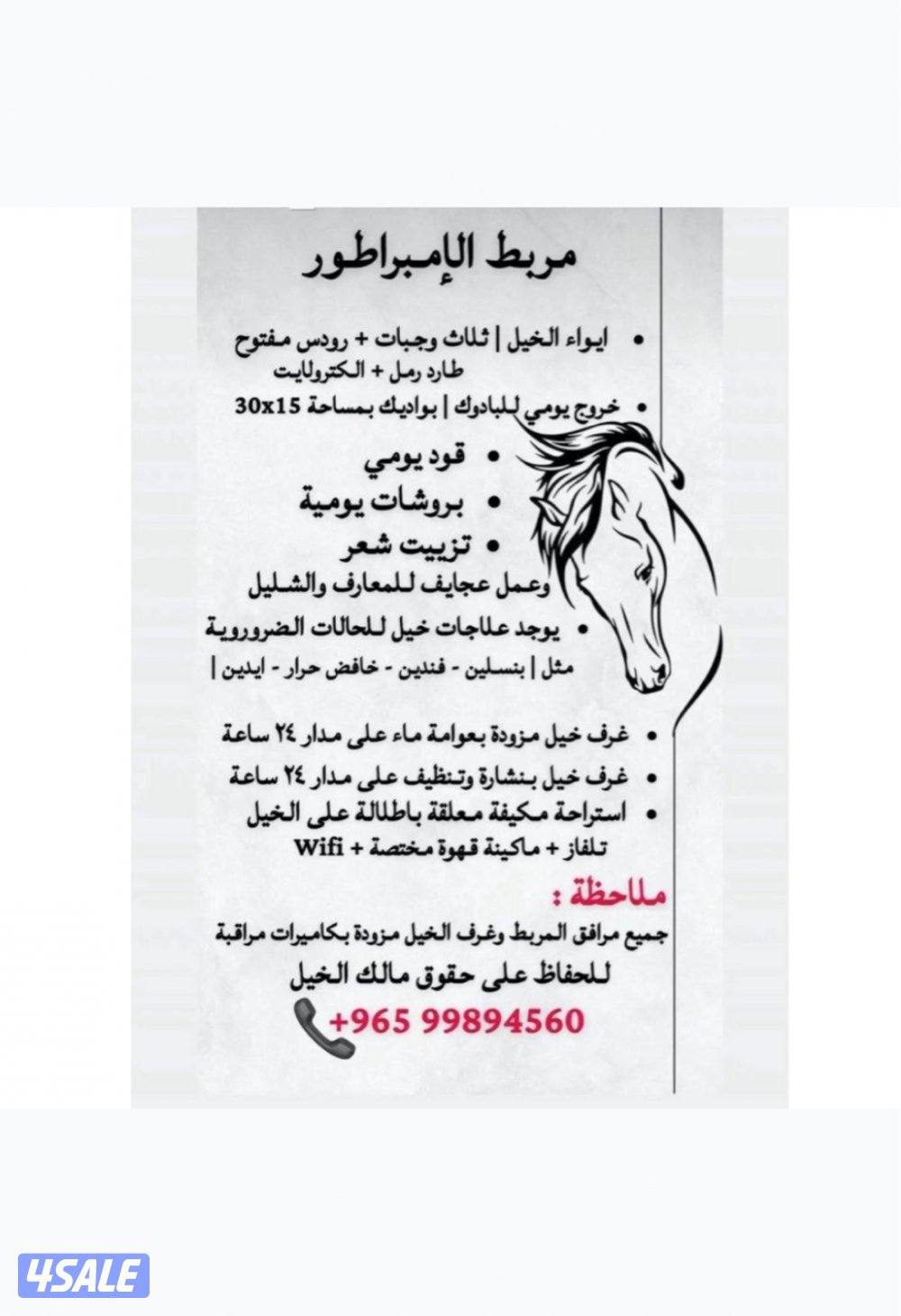 🐎⭐️ مربط ايواء خيل VVIP ⭐️🐎1