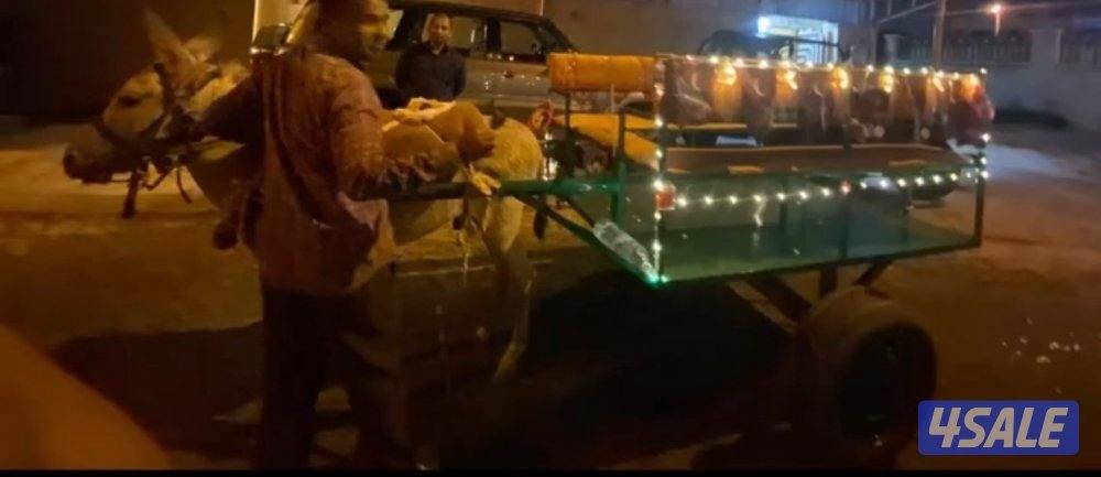 للأيجار بوني وعربانه حنطور للقرقيعان توصيل جميع الكويت متوفر الحجز2