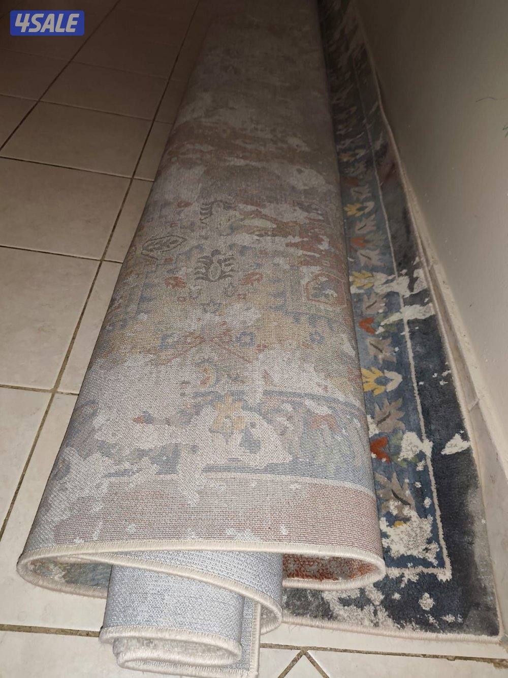 زولية من ابو خمسين المالك الاول2