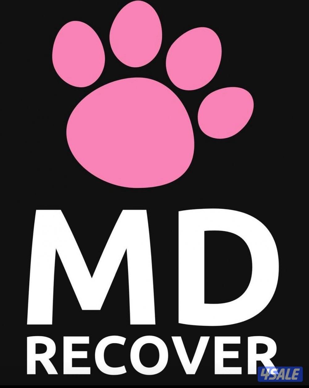 فندقه للقطط والكلاب0