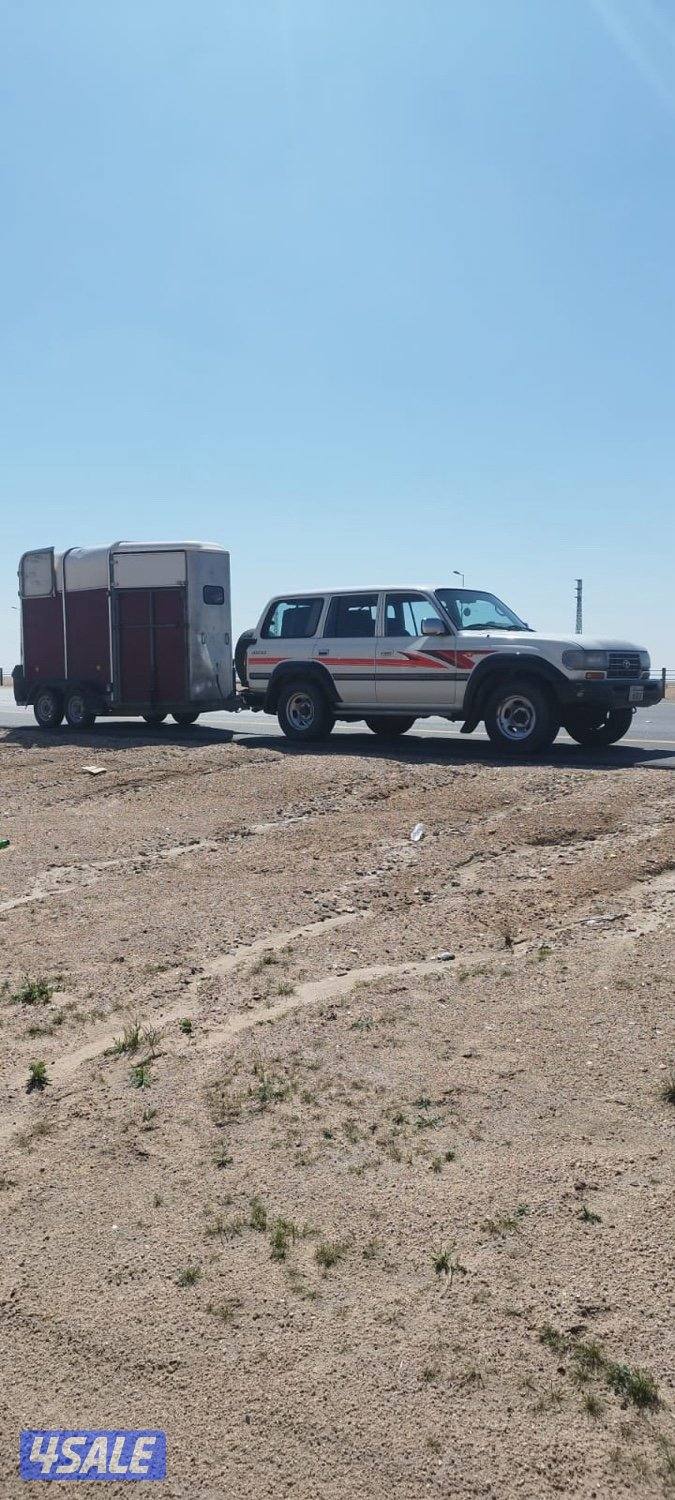 عربانة نقل خيل بإدارة كويتية جميع مناطق الكويت1