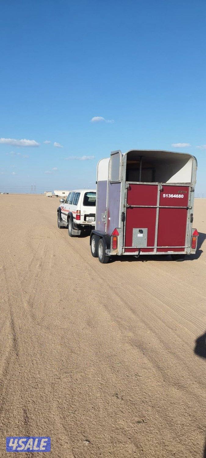 عربانة نقل خيل بإدارة كويتية جميع مناطق الكويت3
