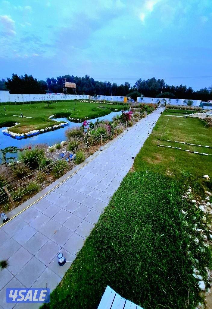 مزرعة A FARM  الوفره   طريق 30010