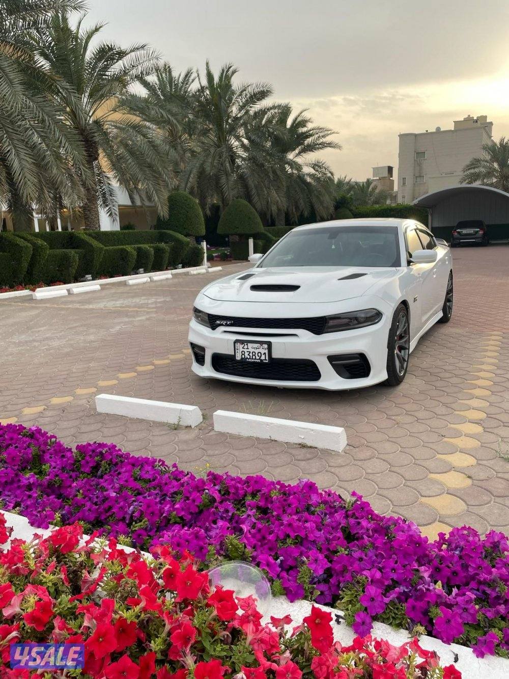 دوج شارجر 2015 srt80