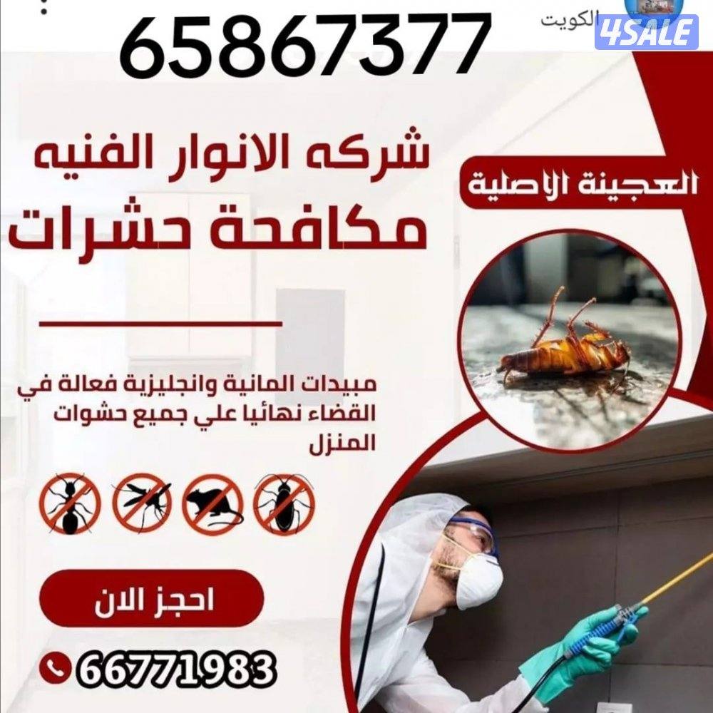 مكافحة حشرات و قوارض الكويت شرك ة رش حشرات مكافحه حشرات مكافحه قوارض1