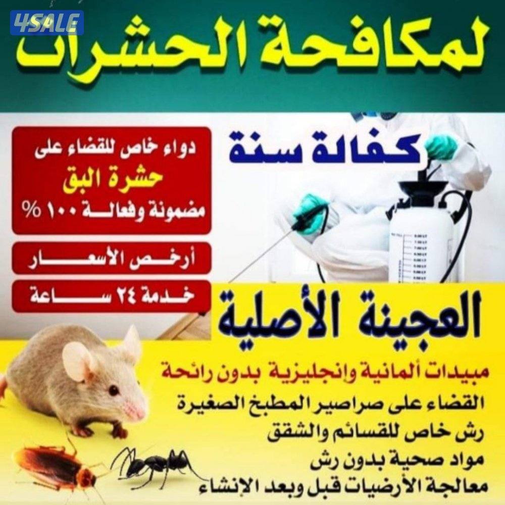 مكافحة حشرات و قوارض الكويت شرك ة رش حشرات مكافحه حشرات مكافحه قوارض4