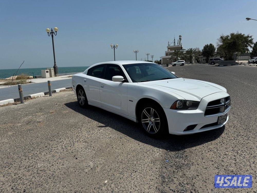 شارجر RT ٢٠١٣0