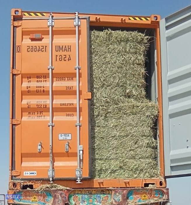 للبيع رودس باكستاني2