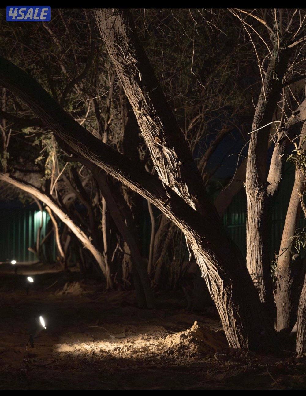 استراحة مزرعة العبدلي8