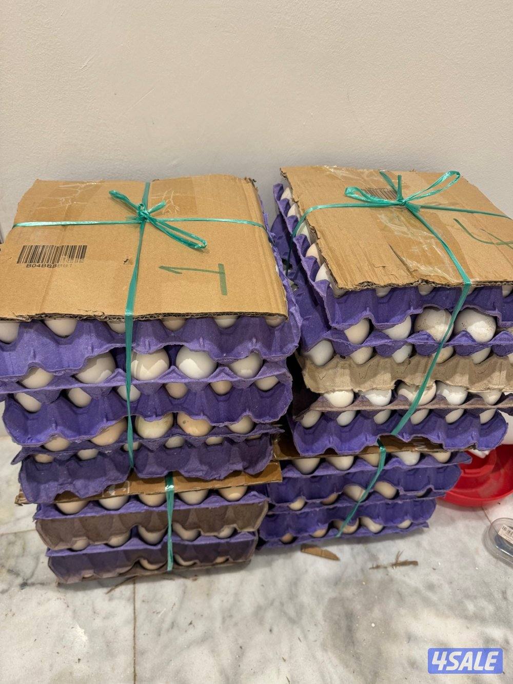 ( انتاجنا الصيفي ) للبيع اطباق بيض الوصف تحت0