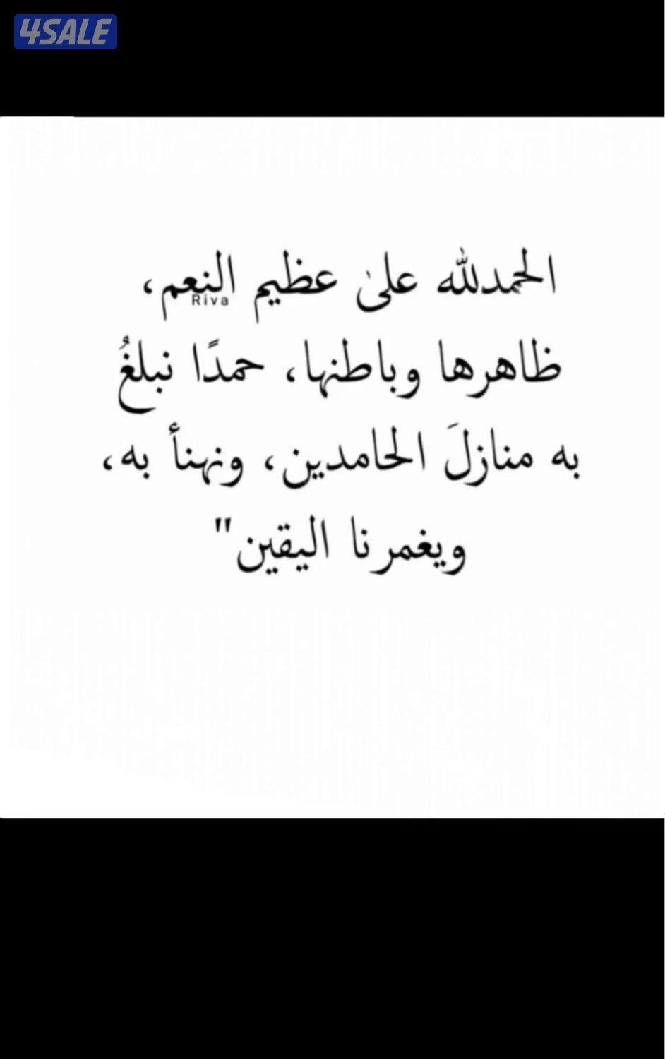 للبيع طير حر طيب3