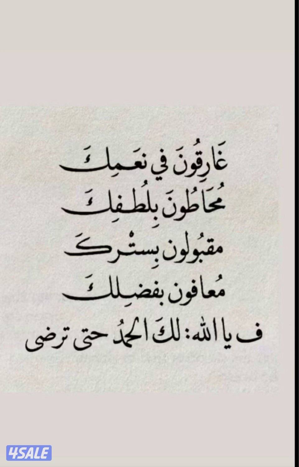 للبيع طير حر طيب4