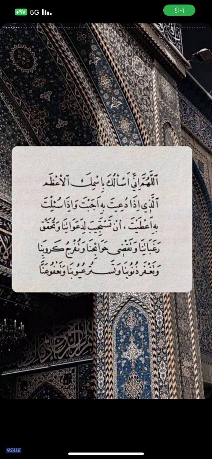 للبيع طير حر طيب5