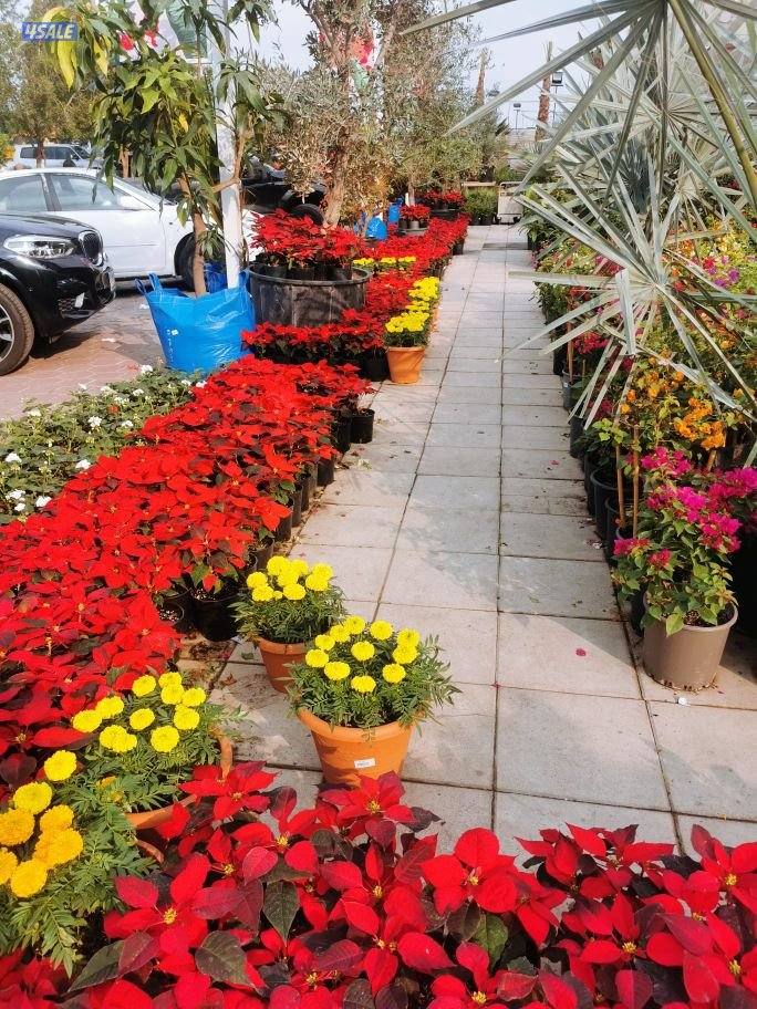 تنسيق حدائق7