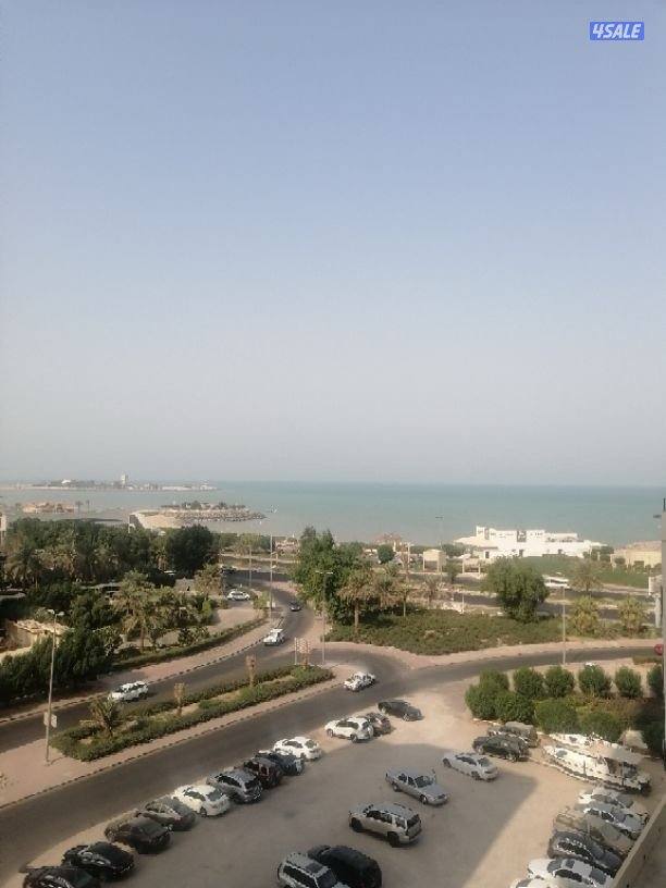 شقه للايجار بالشعب البحري جديدة على البحر مباشر إطلالة رائعة0