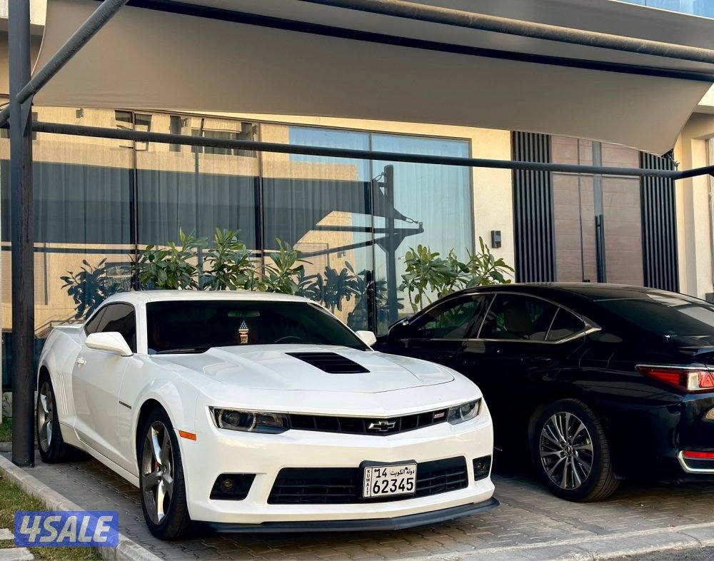 الرميثيه صبـغ الوكاله0