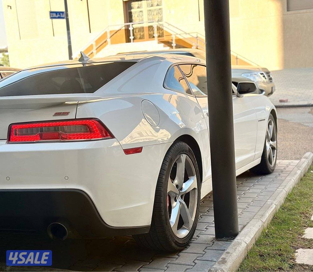 الرميثيه صبـغ الوكاله3