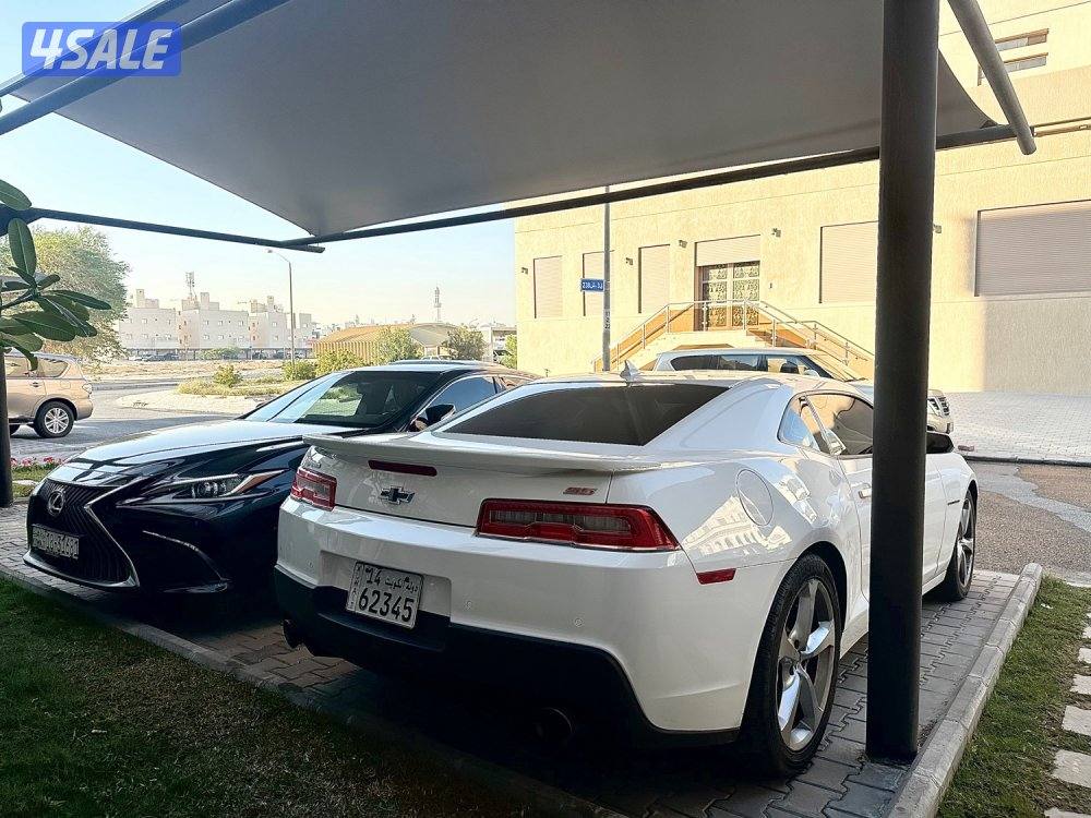 الرميثيه صبـغ الوكاله5