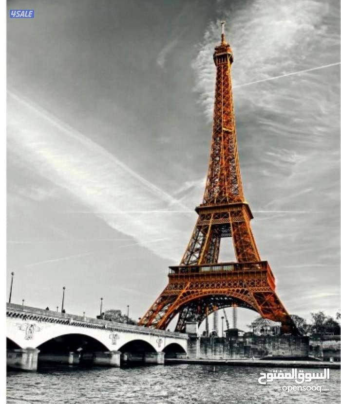 مدرس فرنسى خبره١٦سنه جميع مناطق الكويت للصف ١١و١٢ الثانوى والجامعات0