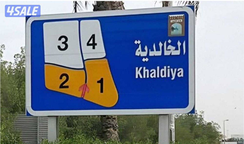 للبيع فيلا بالخالديه وبالمنصوريه0