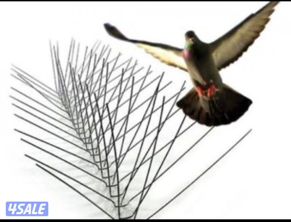 مكافحة حشرت جميع الكويت خدمات 24 ساعه3