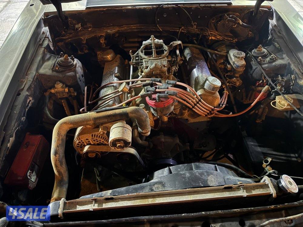 موستنج Lx هاج باك5