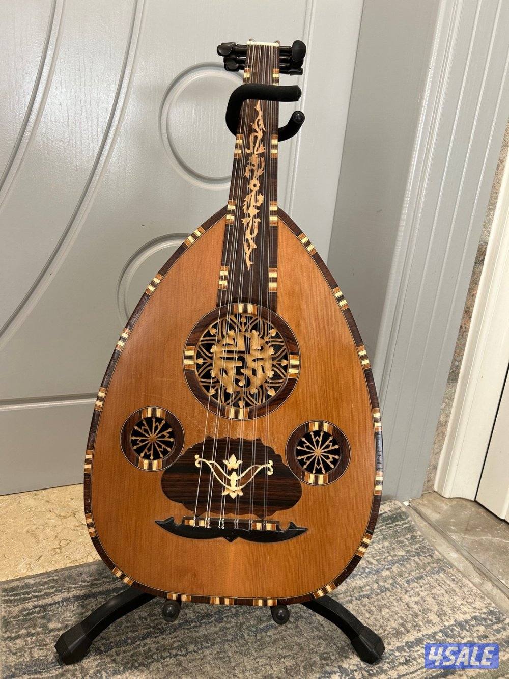 للبيع عود سالمين0