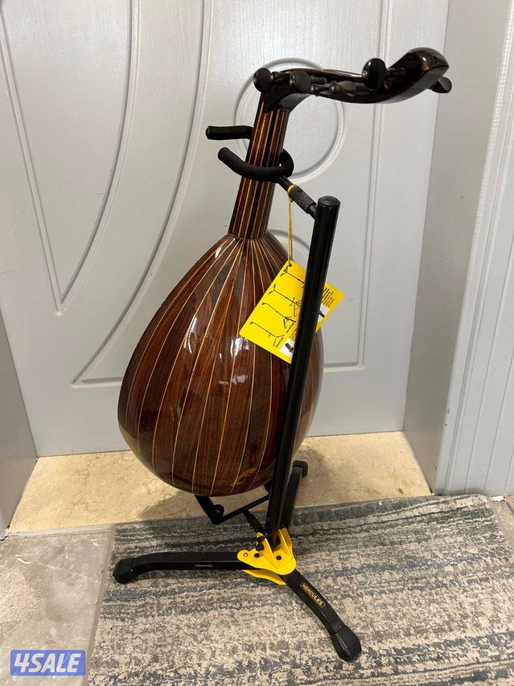 للبيع عود سالمين1