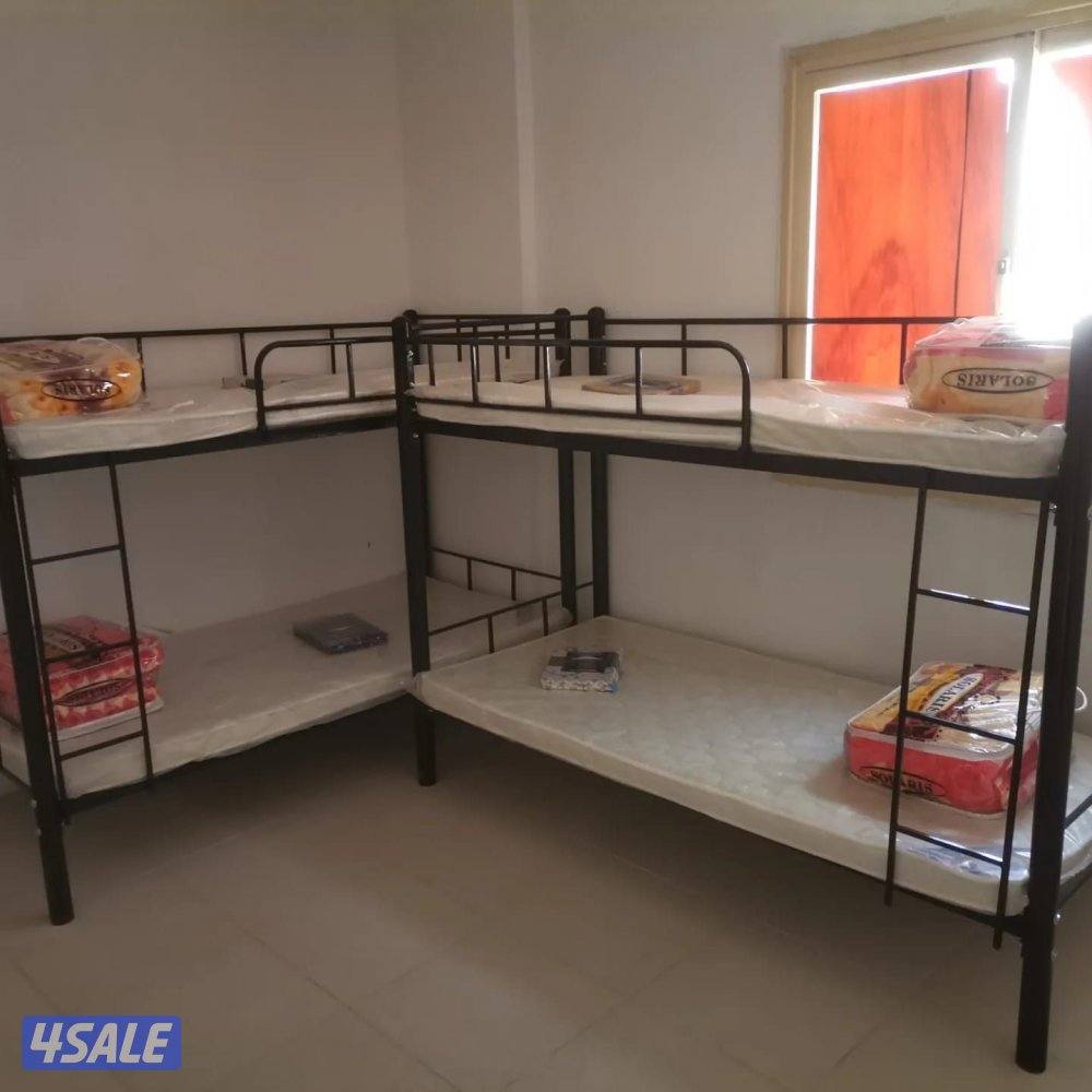 محافظة الجهراء2