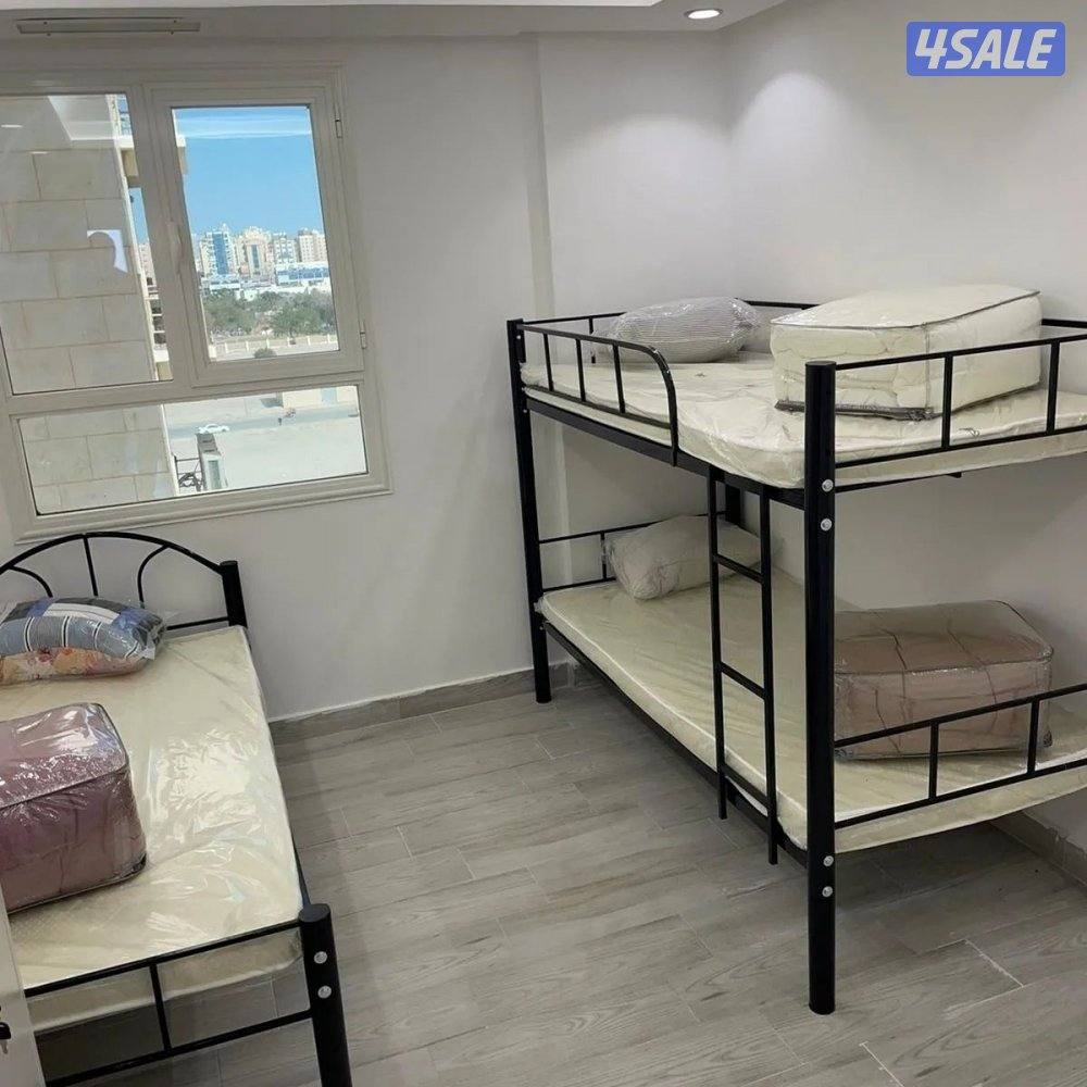 محافظة الجهراء4