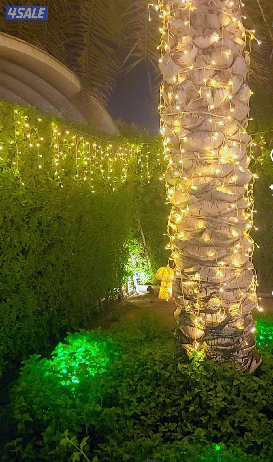 زينة اعراس زينة عرس زينه شلال زينة منازل زينة زينه مربعات زينه زينه9