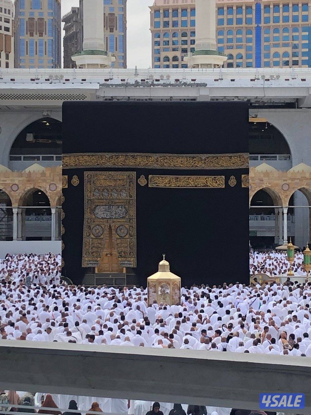 مدرس خاص للغة العربية المرحلة الثانوية والمتوسطة0