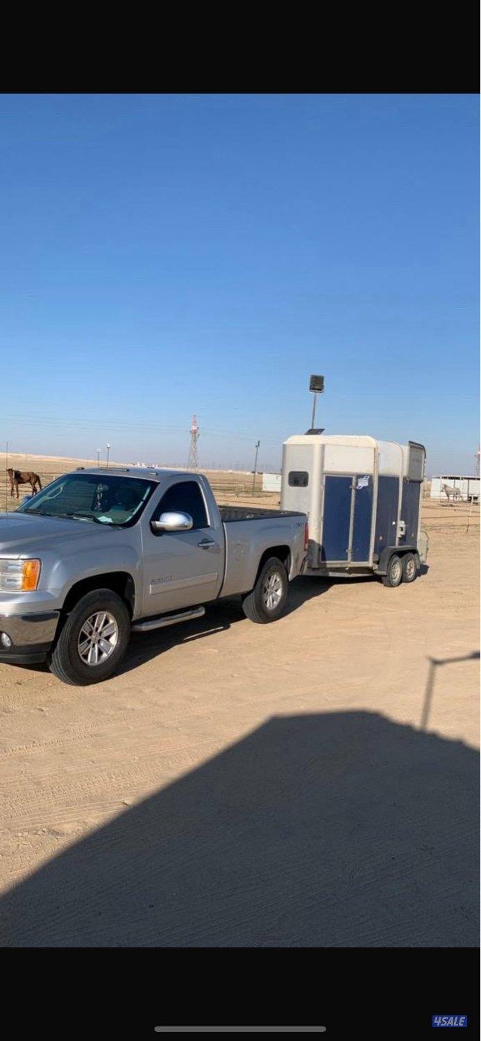 نقل خيل جميع مناطق الكويت 🔥.0