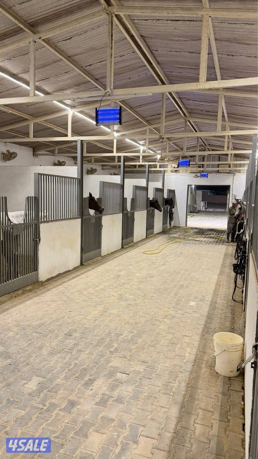 مربط العرين لإيواء الخيل وتعليم الركوب9