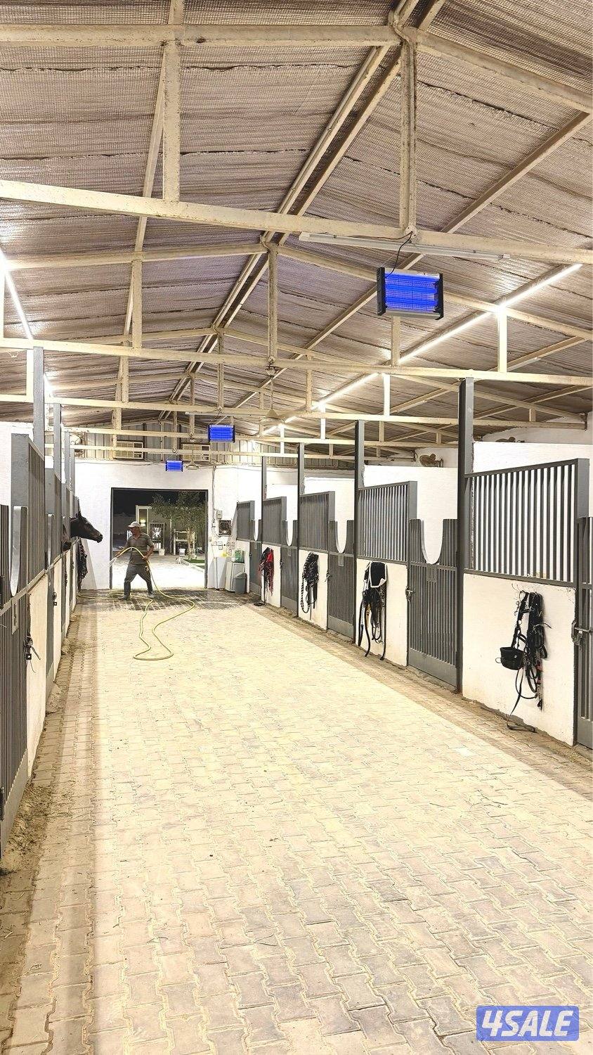 مربط العرين لإيواء الخيل وتعليم الركوب4