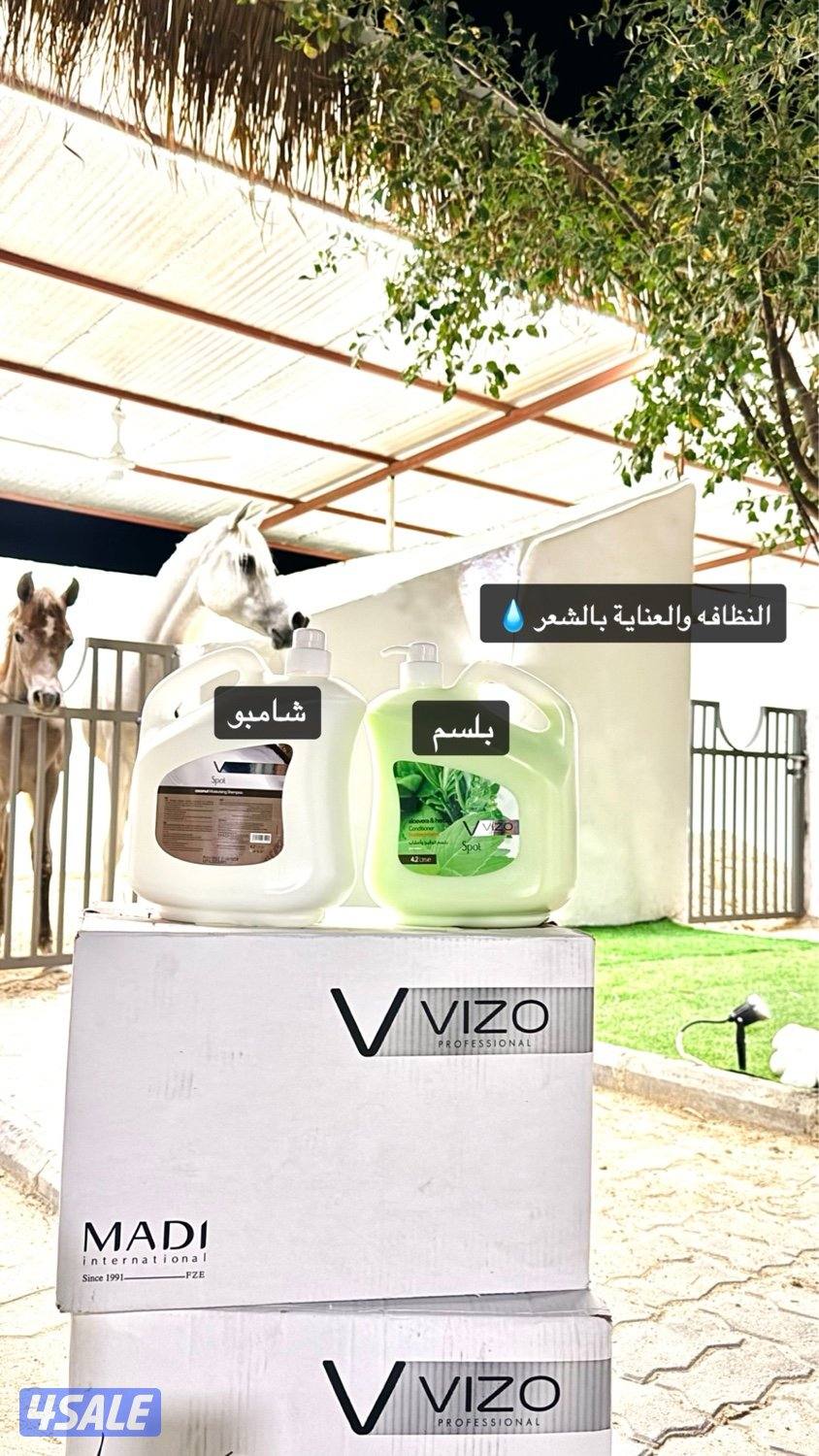 مربط العرين لإيواء الخيل وتعليم الركوب2