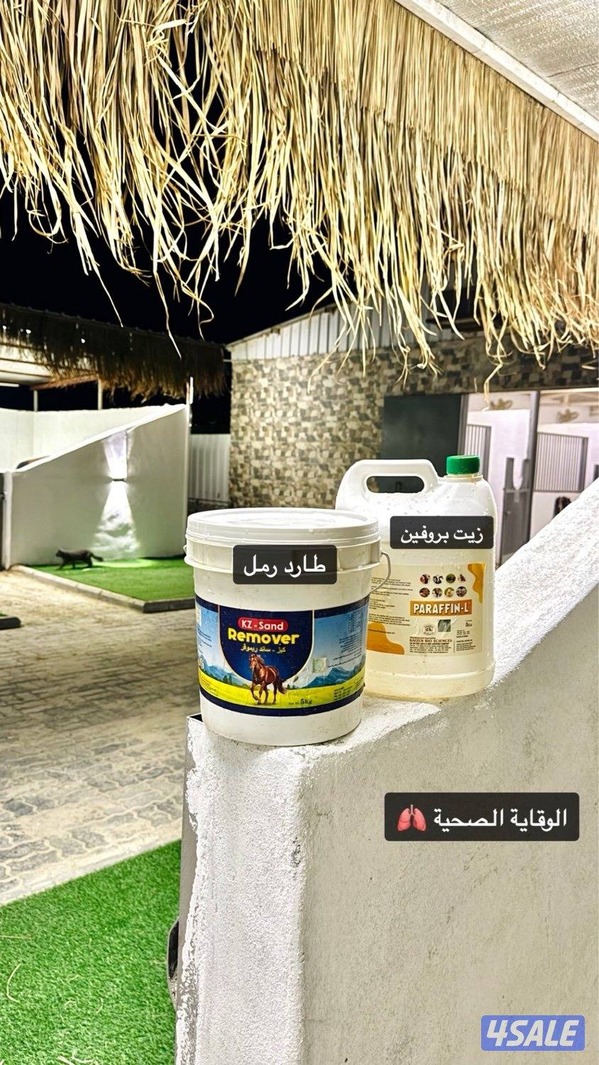 مربط العرين لإيواء الخيل وتعليم الركوب3